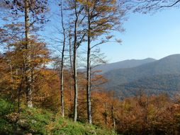 Planina Jastrebac, Srbija