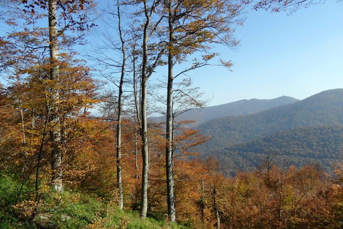 Planina Jastrebac, Srbija