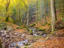 Planina Jastrebac, Srbija