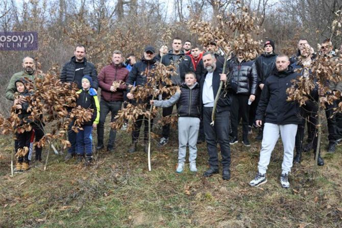 Miloš i Stefan Stojanović, badnjak, Badnji dan 2024.