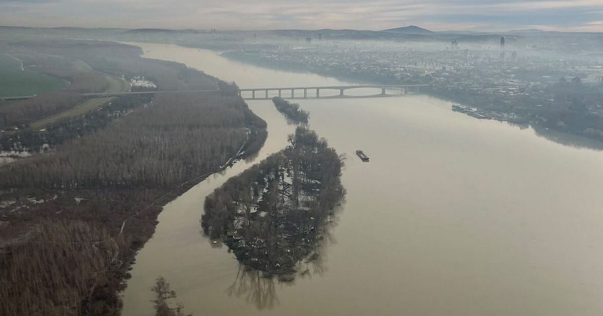 Krava se nasukala na led, usledilo čudo: Neverovatna priča iz Pančeva koja vraća veru u ljude