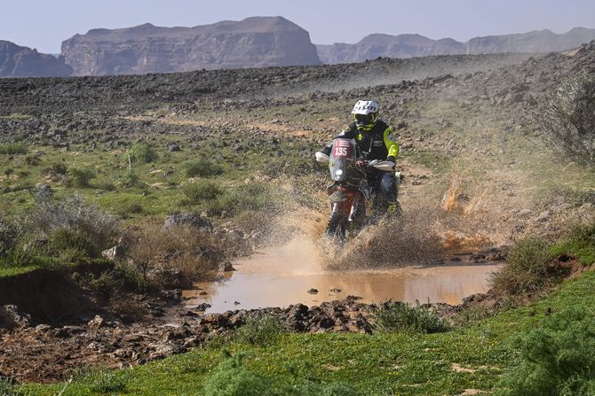 Karles Falkon, Dakar reli