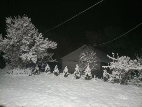 Sneg, Zlatibor i Nova Varoš