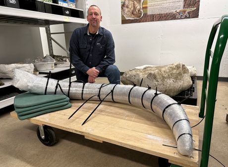Rudnik Severna Dakota pronađena kljova mamuta stara bar 10.000 godina