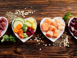 Novogodišnje odluke vlasnika kućnih ljubimaca