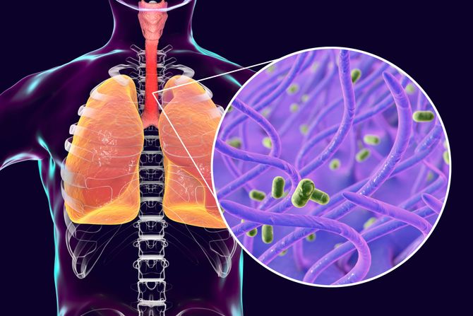 Bakterija Bordetella pertussis veliki kašalj