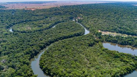 Amazon reka Amazonija Amazonska šuma prašuma