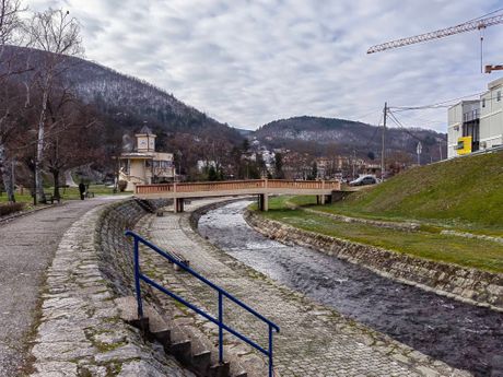 Vranjska Banja obnavlja jedinstven drvored kestenova