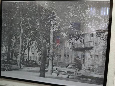 Vranjska Banja obnavlja jedinstven drvored kestenova