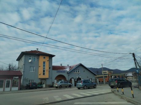 Vranjska Banja obnavlja jedinstven drvored kestenova