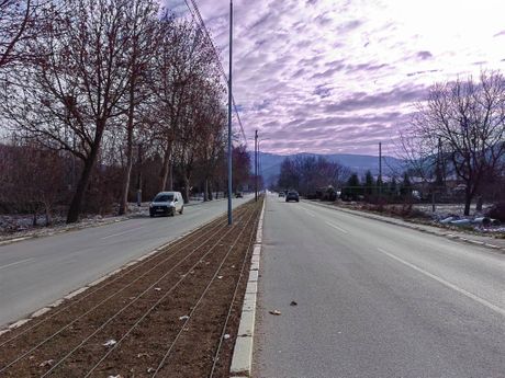 Vranjska Banja obnavlja jedinstven drvored kestenova