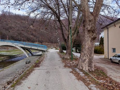 Vranjska Banja obnavlja jedinstven drvored kestenova