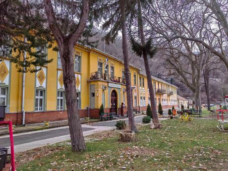 Vranjska Banja obnavlja jedinstven drvored kestenova Vranjska Banja obnavlja jedinstven drvored kestenova