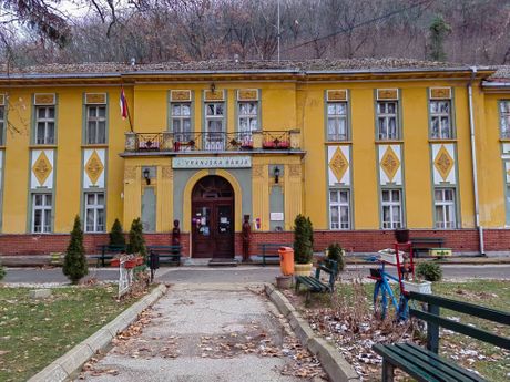 Vranjska Banja obnavlja jedinstven drvored kestenova Vranjska Banja obnavlja jedinstven drvored kestenova