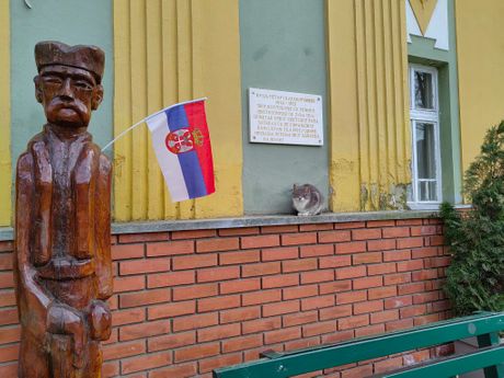 Vranjska Banja obnavlja jedinstven drvored kestenova