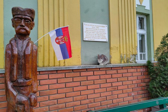Vranjska Banja obnavlja jedinstven drvored kestenova Vranjska Banja obnavlja jedinstven drvored kestenova