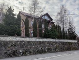 Vranjska Banja obnavlja jedinstven drvored kestenova