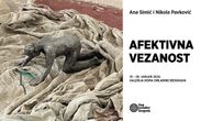 Izložba "Afektivna vezanost" Ane Simić i Nikole Pavkovića od 16. do 28. januara u Galeriji Doma omladine