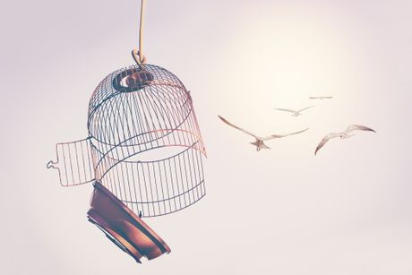 Kavez, ptice, sloboda, slobodan let