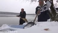 Blizanci Milosavljević na Savi bili i u vreme poplava: Zimi se puši samo njihov odžak, svaki dan su na reci