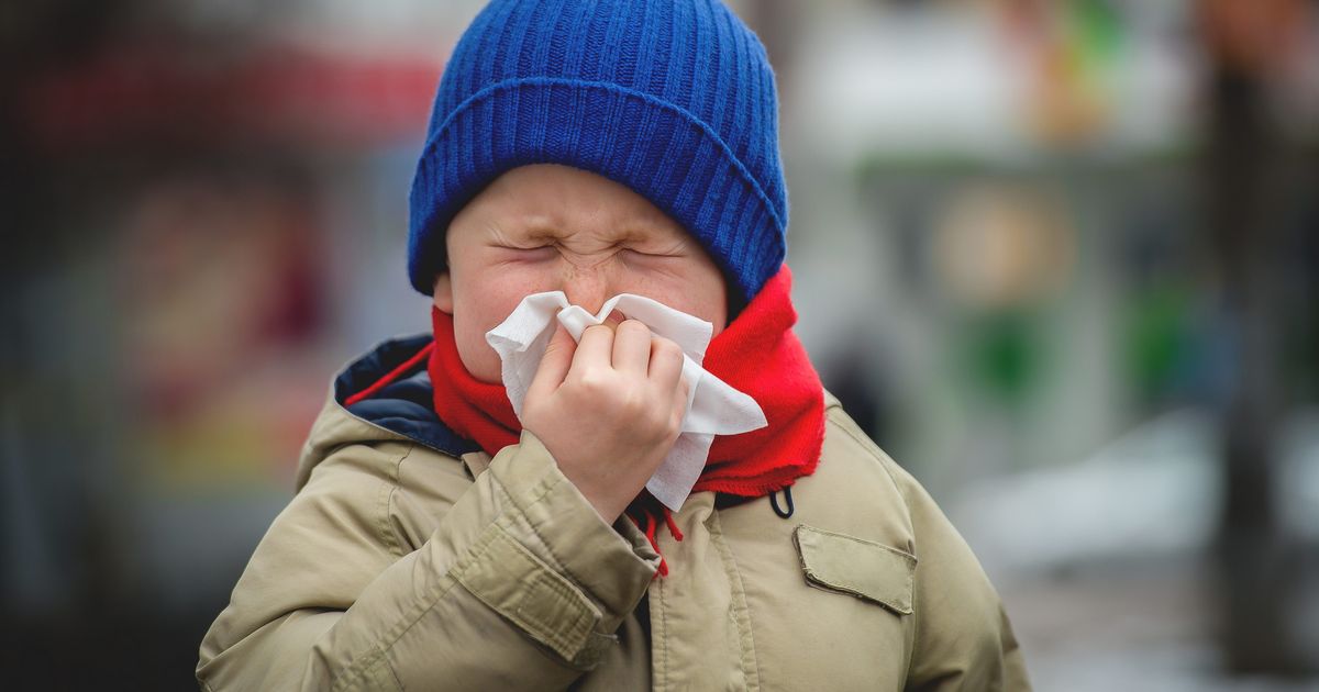 Virus lomi čak do 10 dana! Grip prisutan i u Čačku, lekar do detalja objasnio tok bolesti