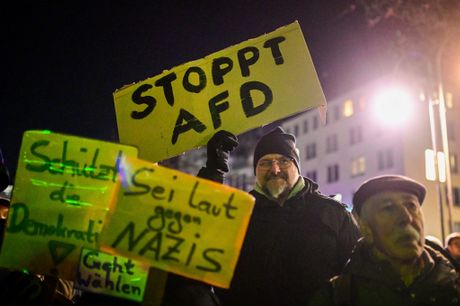 Nemačka Protest Nemaca protiv stranke AfD i nacista
