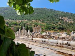 Efes, Turska