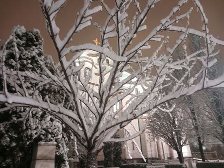 Hram Svetog Save, sneg