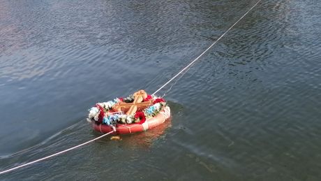 Bogojavljenje, plivanje za časni krst, Zaječar