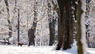 Upozorenja širom Hrvatske zbog niskih temperatura, u Zagrebu hladan talas opasan po zdravlje