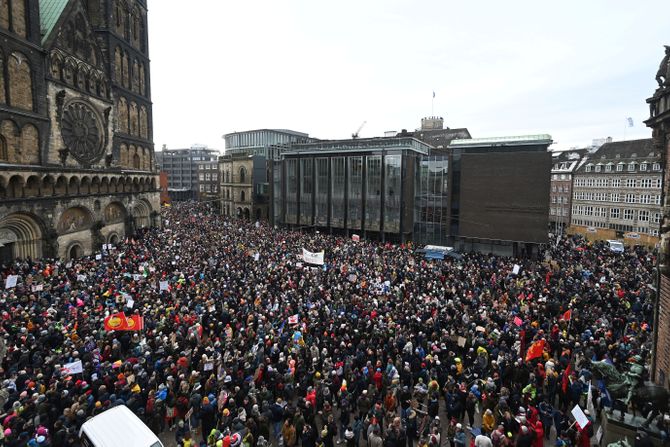 Nemačka, protest, Afd, ekstremizam