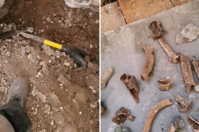 Kosti ispod poda Kosti ispod poda