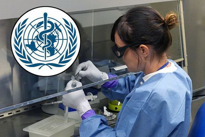 Svetska zdravstvena organizacija, virusi epidemija, world health organization