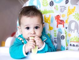 beba, izbijanje zubića, zubi kod bebe, krastavac