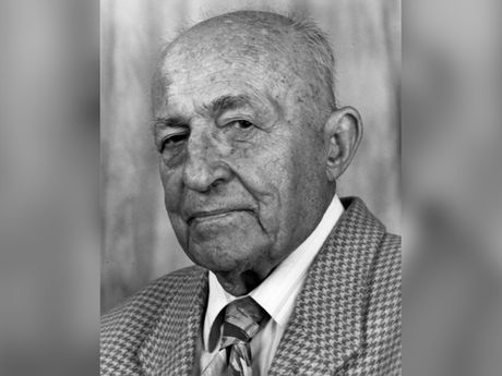 Dragoslav Avramović