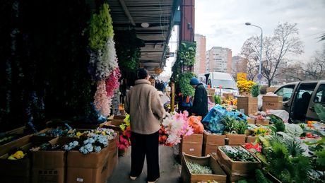 Kineski tržni centar, Novi Beograd, jutro nakon, požar