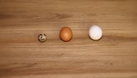 Probali smo kokošje, prepeličje i ćureće jaje: Svako donosi različite benefite, a evo koje je najukusnije