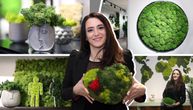 Jovanka Todorović je za vreme karantina našla novi hobi: Od ramova do zelenih zidova i rađanja biznisa