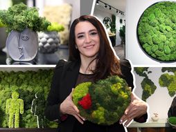 Jovanka Todorović, Mossart Belgrade