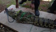 Ne izazivaj aligatora, čak i kada je vezan: Pogledajte brutalni nokaut, čovek je pao kao pokošen