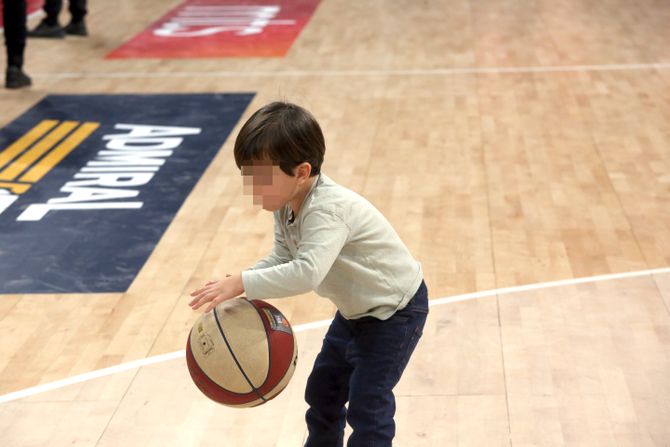 Jelisaveta Orašanin Teodosić sin Miloša