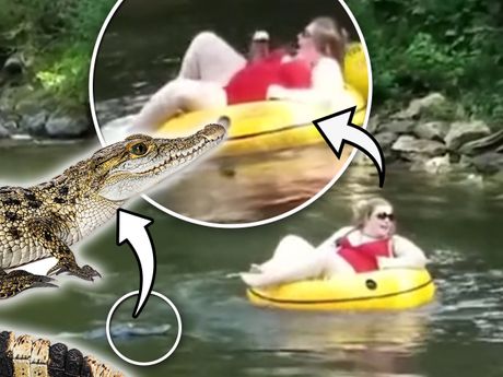 Odmor guma kupanje aligator krokodil