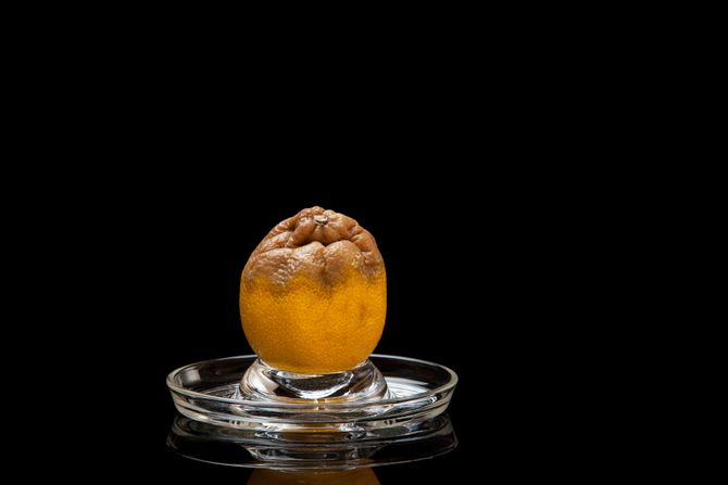 Pokvaren limun Pokvaren limun