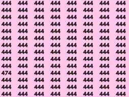 Optička iluzija, skrivalica, 444