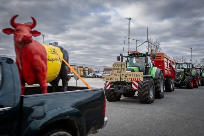 farmeri, Belgija