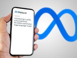 Meta Llama