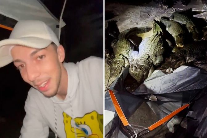 Napad krokodila Napad krokodila