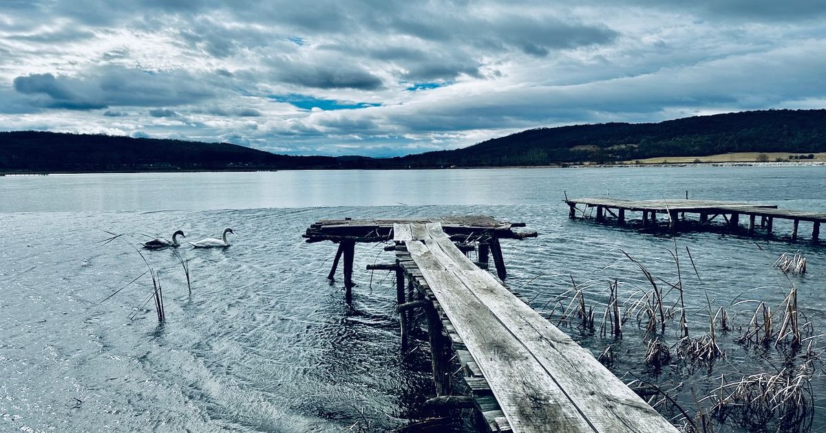 Labudovo jezero kraj Dimitrovgrada - Ona.rs