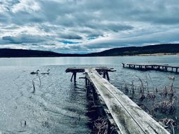 Labudovo jezero kraj Dimitrovgrada