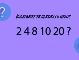 Test mozgalica skrivalica